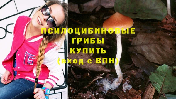 mdpv Кукмор