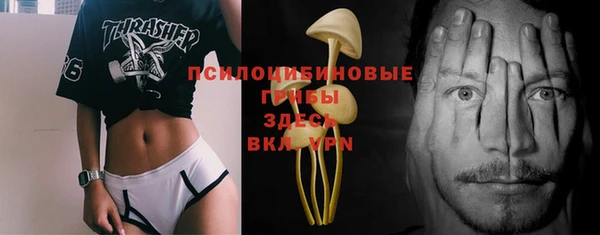 стафф Абинск