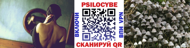 ссылка на мегу ONION  Юрюзань  Галлюциногенные грибы мухоморы  где купить наркоту 